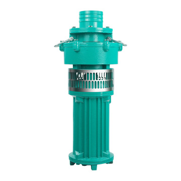 2.2KW 3HP Oil Immersed Cast Iron Borehole Centrifugal Submersible Water Pump - High Steel OEM Customizable