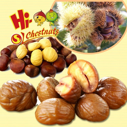 Organic Nut & Kernel Snacks Food---ready to eat chestnuts snacks