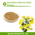 Abend Primrose -Extrakt / Oenothera Biennis Samenextrakt