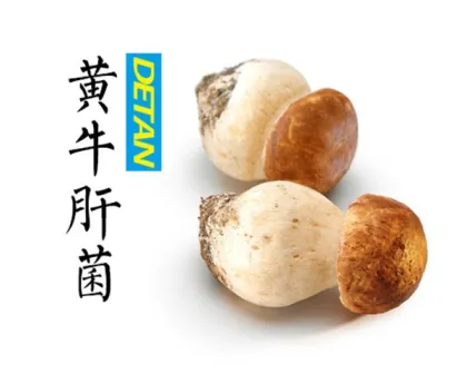 Delicious Fresh Boletus Mushroom