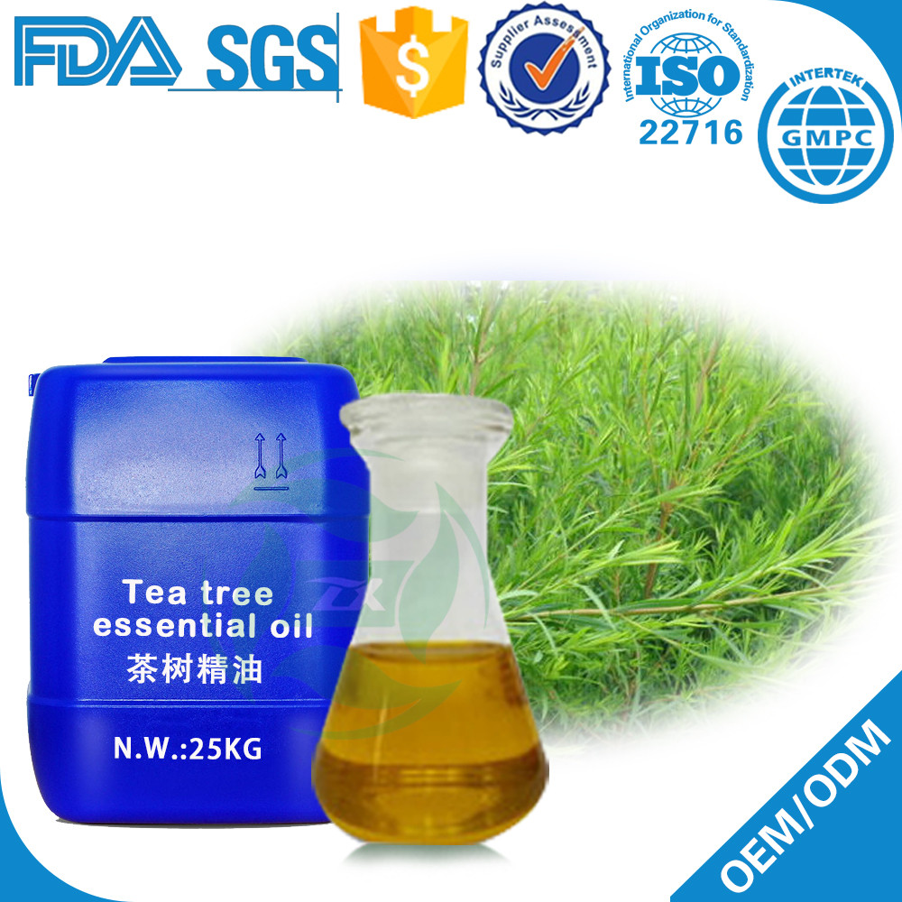 100% Pure Tea Tree Essential Oil Wholesale Price