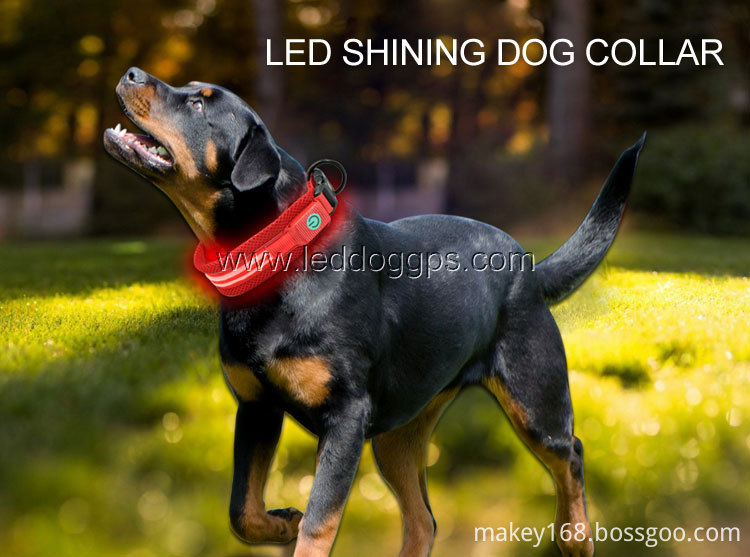 Illuminated Pet Collars Illuminated Pet Collars