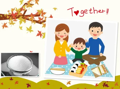 Food additives GALACTO OLIGOSACCHARIDES GOS Diary products