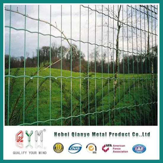 Qym-Galvanized Field Fence /Farmland Fence/Farm Fence
