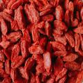 Bayas de goji de alta calidad