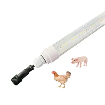 48V Poultry Broiler Lighting LED Lamp System for Chicken Shed Farms