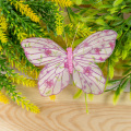 Butterfly craft activity