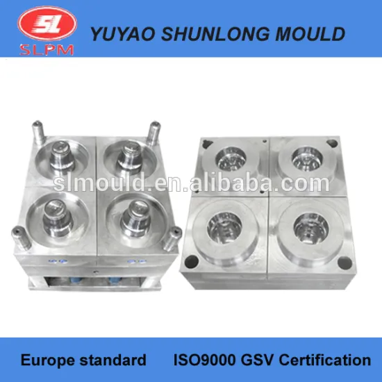 High Quality Multi cavities Hot Runner Plastic Mould