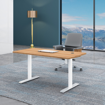 Electric Height Adjustable Standing Desk