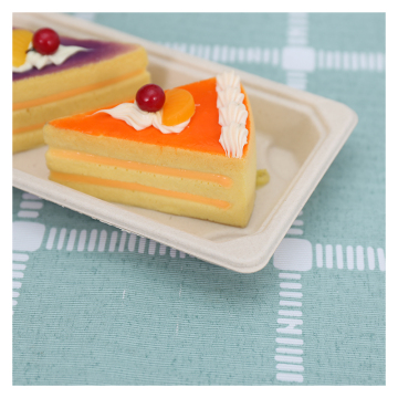 Eco-friendly Recyclable Sushi Platter Natural Sugarcane Tray