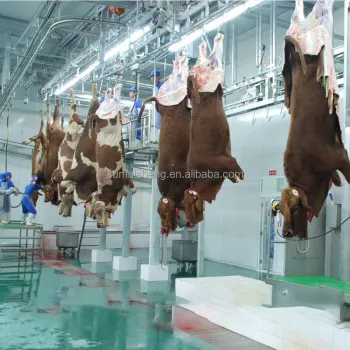 Cattle Halal Meat Processing Slaughter Line Machines and Equipment
