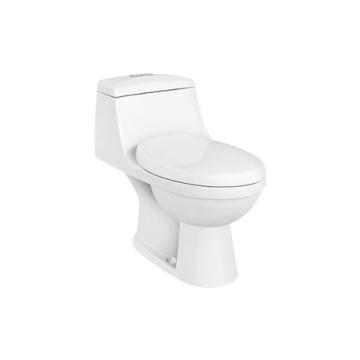 dam one-piece toilet