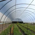 Hot Sale Clear Film of Greenhouse Garden