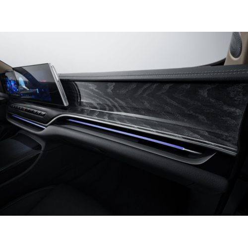 Modern Technology in Hongqi H9 Vehicle