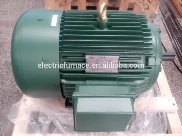 TEFC TYPE ELCTRICAL MOTORS NEMA