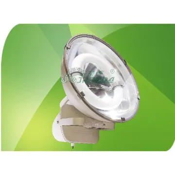 High Energy Saving Garden Spotlight