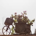 Bicycle iron flowerpot flower machine