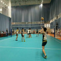 IHF goedgekeurde indoor PVC-handbalvloeren