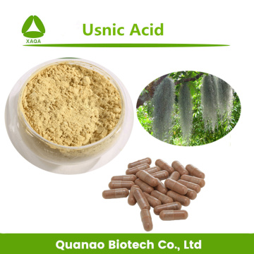Lichen Usnea Extract Usnic Acid 98% Powder HPLC