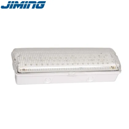 LE502L-AD LED Waterproof Emergency Security Light: Ceiling Emergency Lighting Solution