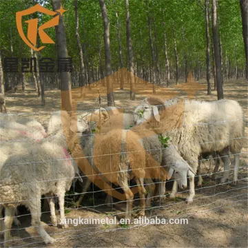 wholesale bulk cattle fence hot dipped galvanized field fence