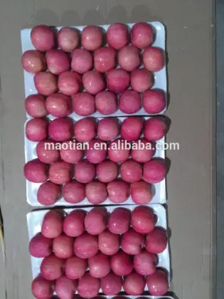 Fresh Style bulk fresh fruit
 Fresh Style bulk fresh fruit