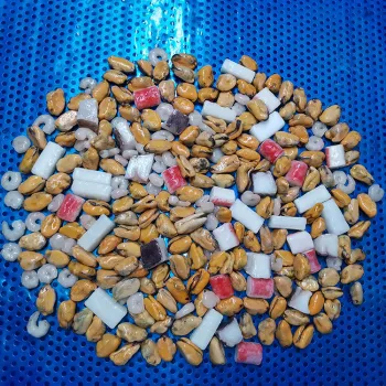 Hot Sale Frozen Mixed Seafoods Delicious Fair Price Frozen Seafood Mix