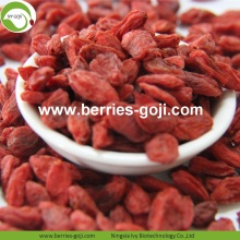 Approvisionnement en usine Prix des fruits Acheter des baies de goji