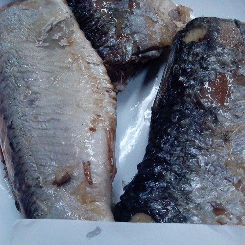 Ikan Herring Kalengan Dalam Saus Tomat Dengan Minyak