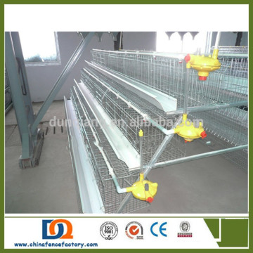 Zimbabwe use Welded Wire Mesh chicken laying cages