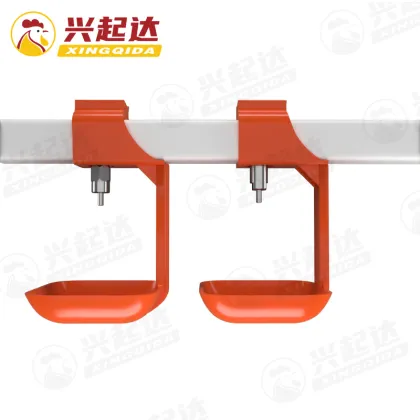 Chicken Drinkers, Feeders, and Poultry Equipment for Quail Farms