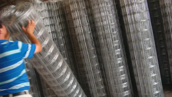 professional and large manufacture hot dipped galvanzied welded mesh