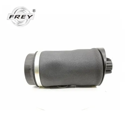 Rear Air Suspension repair bag parts automotive 2513200425