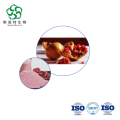 Punica granatum Extract 40% Polyphenols Bulk Natural Antioxidant