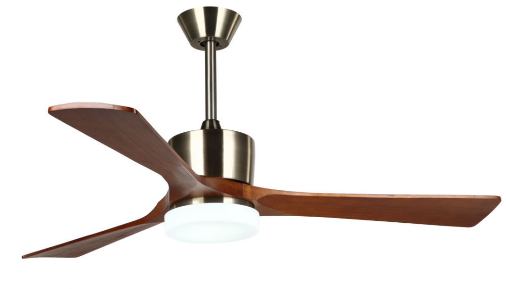 Modern Decorative Ceiling Fan with Light