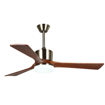 Modern Decorative Ceiling Fan with Light