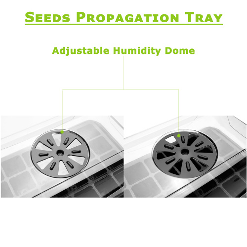 Seedling Propagation Tray for Seeds Germination
