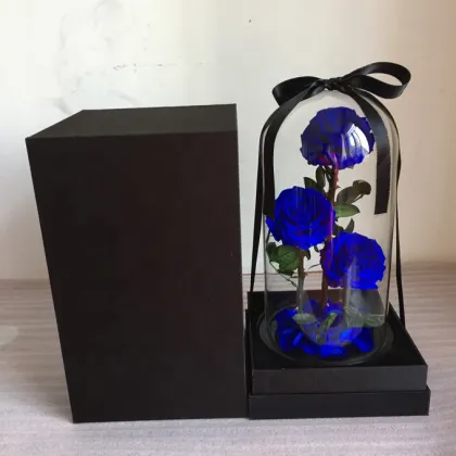 Little Prince Rose in Glass Dome with Black Gift Boxes for Valentine's Day