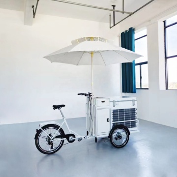Carrello per alimenti per gelato a 3 ruote elettrici a venduta a caldo e bici da carico da strada con congelatore