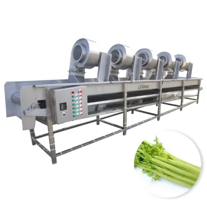 Vegetable and Fruit Cleaning Drying Machine