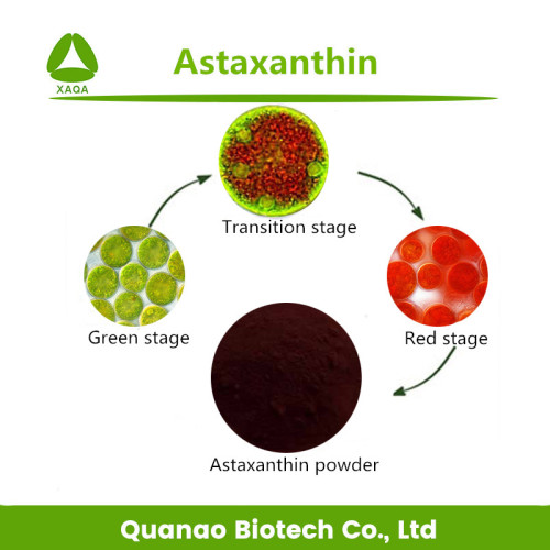 Natrual haematococcus pluvialis extrait astaxanthine 5% HPLC