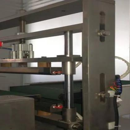 Automatically Double servo biscuits pillow packing machine