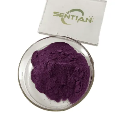 blackcurrant powder Black Currant Extract 25% anthocyanins