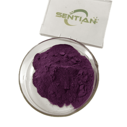 blackcurrant fruit juice powder blackcurrant powder