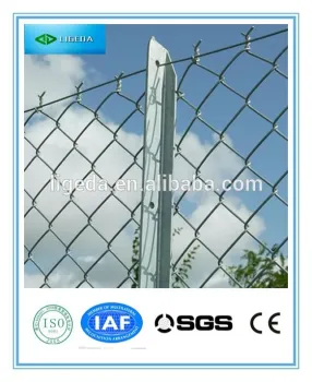 Cheap Galvanized chain link fence