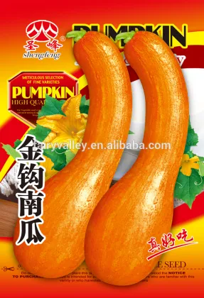 Wholesale pumpkin seeds For Growing-Gin Gou