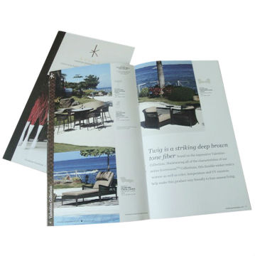 Chinese professional manufacturing printed brochure