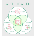 Fructooligosaccharides sans gluten fos végétalien