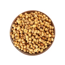 Premium Bush Cherry Seeds for Herbal Purposes