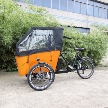 Large Capacity 250W 36V Three-Wheeled Electric Family Cargo Bike with Swing Balance Device: Your Ultimate Shipping Solution